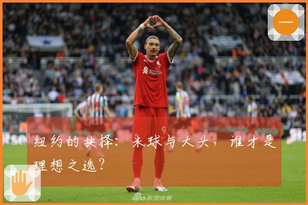 纽约的抉择:米球与大头,谁才是理想之选?
